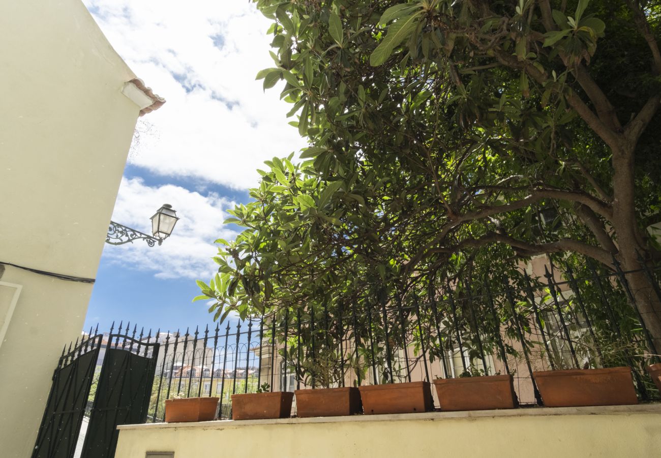 Apartamento em Lisboa - Apartamento com terraço na Baixa - TTL279