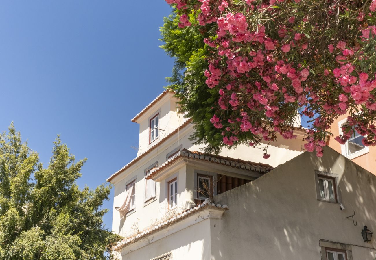 Apartment in Lisbon - Duplex in Lisbon's old town - TTL321